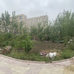 Продажа Участок, пос. Локбатан, 28 Малл, Гарадаг район 9