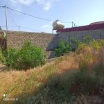 Satılır 6 otaqlı Həyət evi/villa, Şağan, Xəzər rayonu 6
