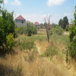 Satılır 2 otaqlı Bağ evi, Saray, Abşeron rayonu 3