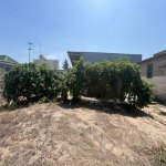 Satılır Torpaq, Şüvəlan, Xəzər rayonu 6