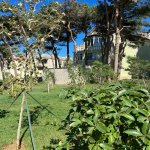 Satılır Həyət evi/villa, Əhmədli metrosu, Əhmədli, Xətai rayonu 21