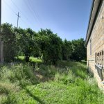 Kirayə (günlük) 2 otaqlı Həyət evi/villa İsmayıllı 20