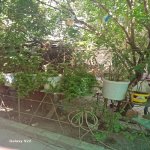 Satılır 4 otaqlı Həyət evi/villa Xırdalan 11