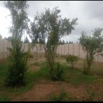 Satılır Torpaq, Maştağa qəs., Sabunçu rayonu 1