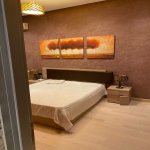 Kirayə (aylıq) 3 otaqlı Yeni Tikili, 28 May metrosu, Park Zorge, Nəsimi rayonu 7