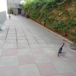 Satılır 3 otaqlı Həyət evi/villa, Saray, Abşeron rayonu 11