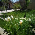 Kirayə (aylıq) 7 otaqlı Bağ evi, Novxanı, Abşeron rayonu 24