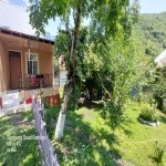 Kirayə (günlük) 2 otaqlı Həyət evi/villa Qəbələ 12