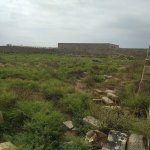 Продажа Участок, пос. Билгях, Сабунчу район 3