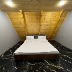 Kirayə (günlük) 4 otaqlı Həyət evi/villa Qəbələ 14
