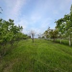 Продажа 2 комнат Дома/Виллы Исмаиллы 6