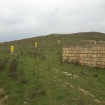 Satılır Torpaq, Novxanı, Abşeron rayonu 1