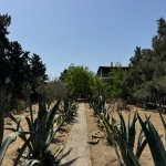 Satılır Torpaq, Şüvəlan, Xəzər rayonu 10