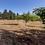 Продажа Участок, пос. Нардаран, Сабунчу район 4