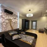 Kirayə (günlük) 3 otaqlı Yeni Tikili, 28 May metrosu, Kubinka, Nəsimi rayonu 5