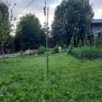 Satılır Torpaq Qəbələ 6