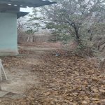 Satılır 5 otaqlı Həyət evi/villa Bərdə 10
