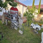 Kirayə (günlük) 6 otaqlı Həyət evi/villa Qəbələ 9