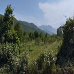 Satılır Torpaq Quba 8