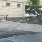 Satılır Qaraj, Elmlər akademiyası metrosu, Yasamal rayonu 3