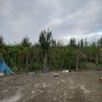 Satılır Torpaq Quba 2