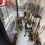 Satılır Obyekt, Bakıxanov qəs., Sabunçu rayonu 12