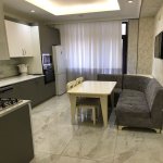 Kirayə (aylıq) 2 otaqlı Yeni Tikili, Gənclik metrosu, Tibb Universiteti, Nəsimi rayonu 13