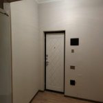 Kirayə (aylıq) 1 otaqlı Yeni Tikili, 28 May metrosu, Nəsimi rayonu 12
