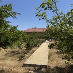 Satılır Torpaq, Məhəmmədli, Abşeron rayonu 10
