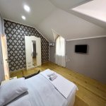 Kirayə (günlük) 7 otaqlı Bağ evi Qəbələ 4