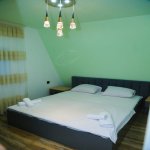 Kirayə (günlük) 3 otaqlı Həyət evi/villa Qəbələ 18