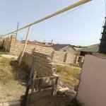 Satılır Torpaq, Qobu, Abşeron rayonu 6