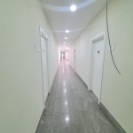 Kirayə (aylıq) 17 otaqlı Ofis, Azadlıq metrosu, Yasamal rayonu 13