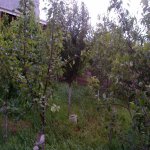 Satılır 5 otaqlı Həyət evi/villa, Mehdiabad, Abşeron rayonu 4