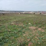 Satılır Torpaq, Digah, Abşeron rayonu 7