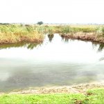 Продажа Объект Хачмаз 11