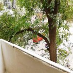Satılır 4 otaqlı Köhnə Tikili, Nizami rayonu 1