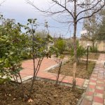 Kirayə (aylıq) Obyekt, Yeni Günəşli qəs., Suraxanı rayonu 10
