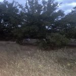 Satılır Torpaq, Novxanı, Abşeron rayonu 9