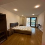 Kirayə (aylıq) 2 otaqlı Yeni Tikili, 28 May metrosu, Port Baku, Nəsimi rayonu 13