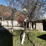 Kirayə (günlük) 3 otaqlı Bağ evi Qusar 25
