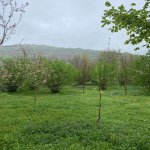 Продажа Участок Гябяля 10