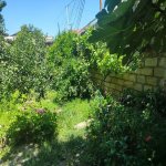 Satılır 11 otaqlı Həyət evi/villa, Azadlıq metrosu, Rəsulzadə qəs., Binəqədi rayonu 11