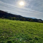 Satılır Torpaq Qusar 8