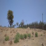 Satılır Torpaq, Kürdəxanı qəs., Sabunçu rayonu 2