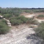 Satılır Torpaq, Maştağa qəs., Sabunçu rayonu 5