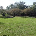 Продажа Участок Гябяля 9