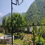 Kirayə (günlük) 4 otaqlı Həyət evi/villa Qax 16