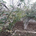 Satılır 3 otaqlı Həyət evi/villa, Hövsan qəs., Suraxanı rayonu 11