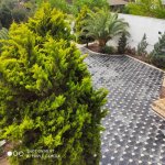 Kirayə (aylıq) 6 otaqlı Bağ evi, Mərdəkan, Xəzər rayonu 21